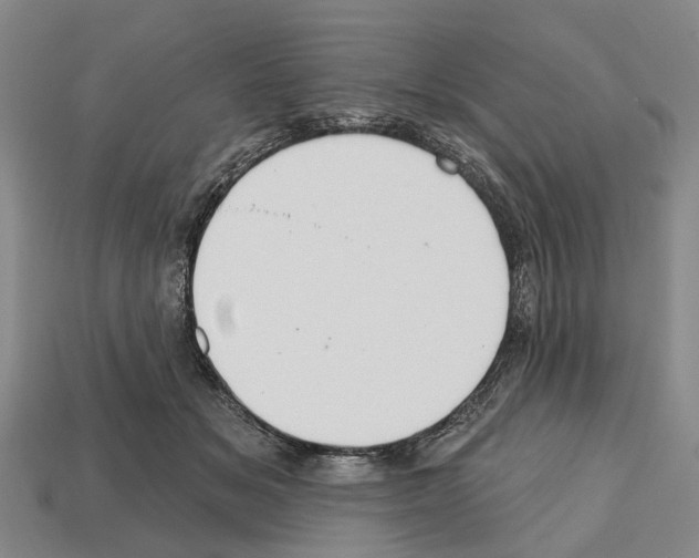 X0000112520509200909281019
