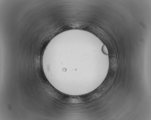 X0000112520510200909281019