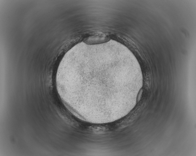 X0000112520512200909281019