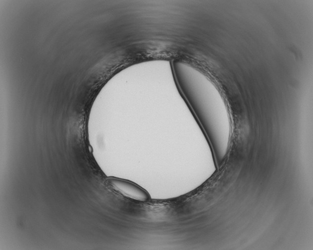X0000112520513200909281019
