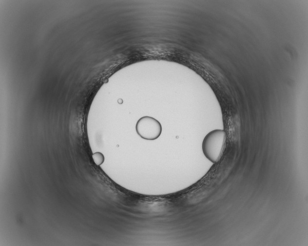 X0000112520514200909281019
