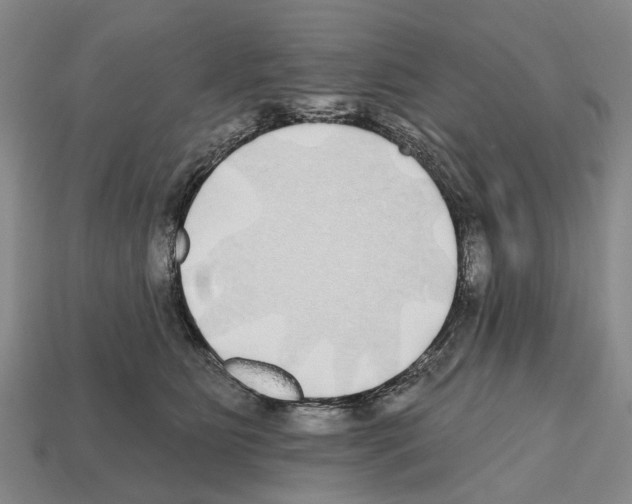 X0000112520515200909281019