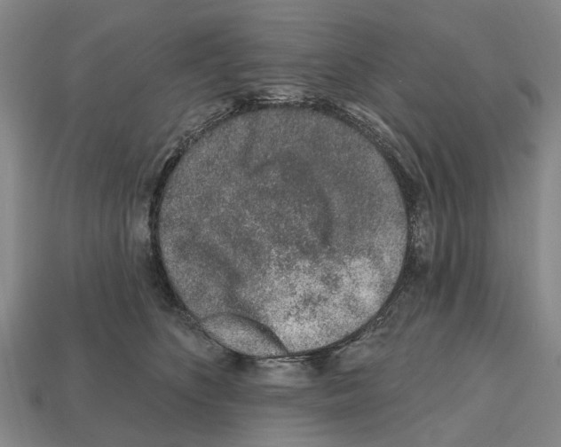 X0000112520516200909281019