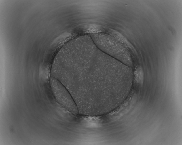 X0000112520517200909281019