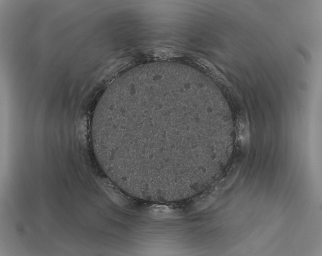X0000112520519200909281019