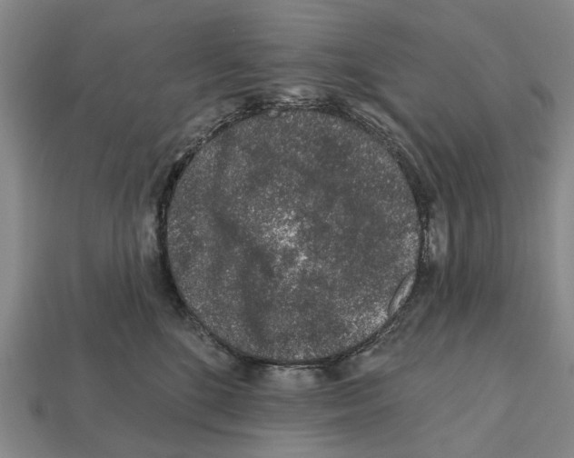 X0000112520520200909281019