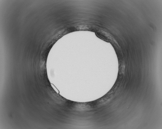 X0000112520521200909281019