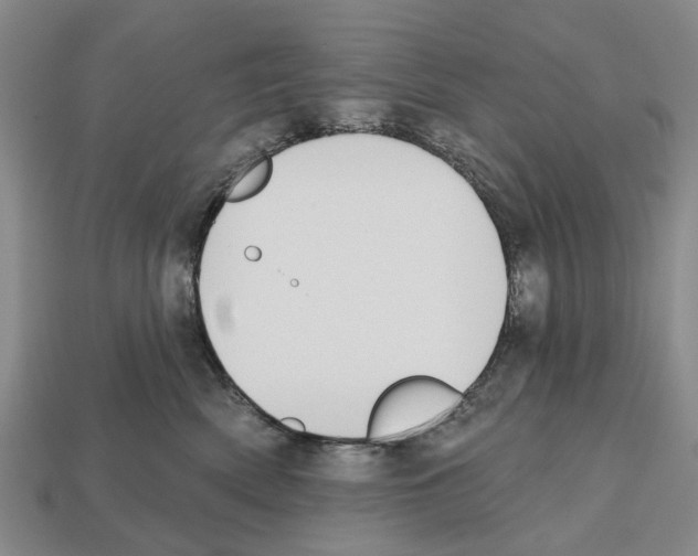 X0000112520522200909281019