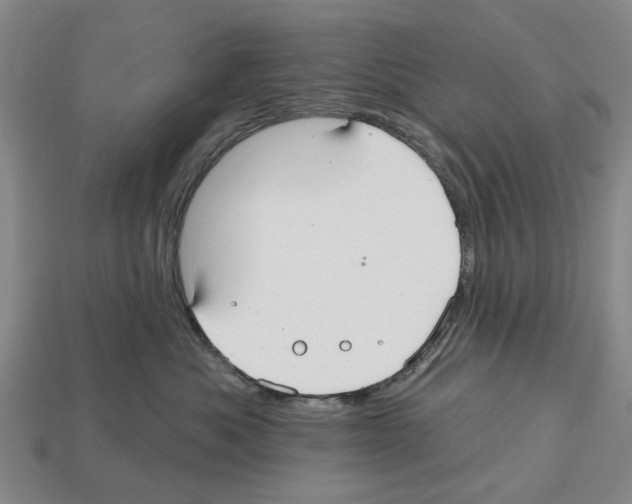 X0000112520525200909281019