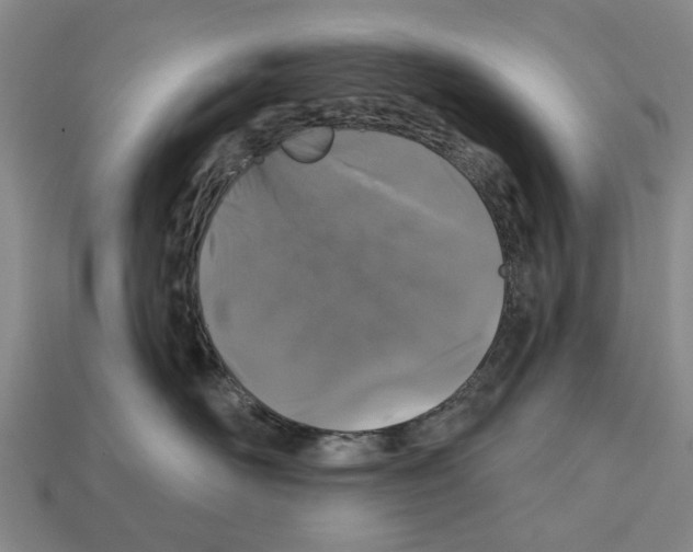 X0000112520526200909281019