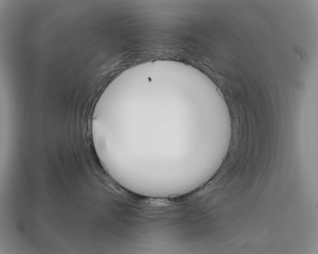 X0000112520528200909281019