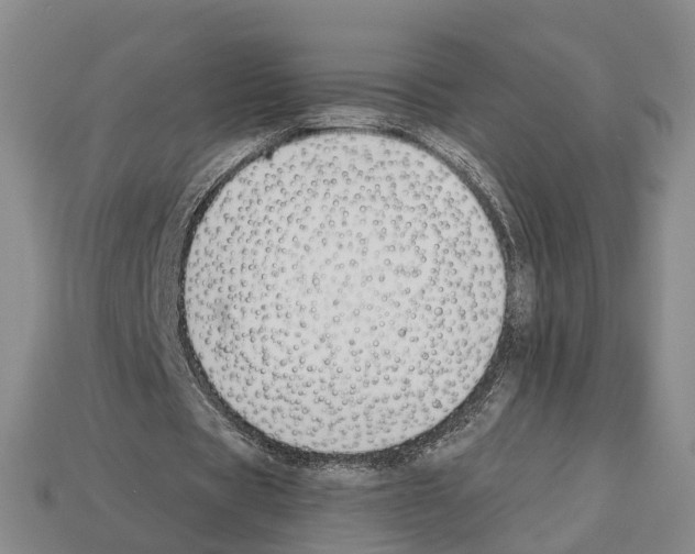 X0000112520529200909281018