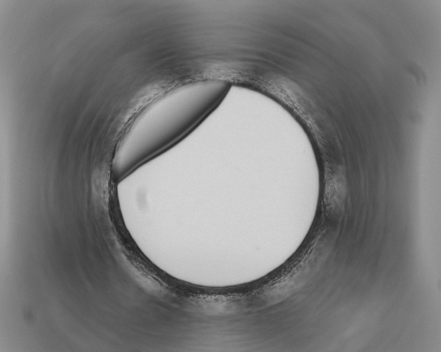 X0000112520530200909281018
