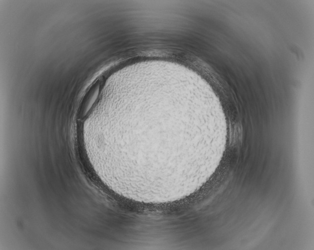 X0000112520531200909281018