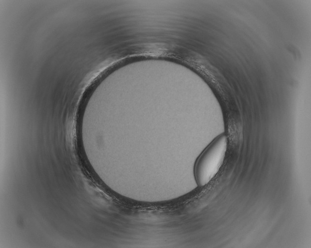 X0000112520532200909281018