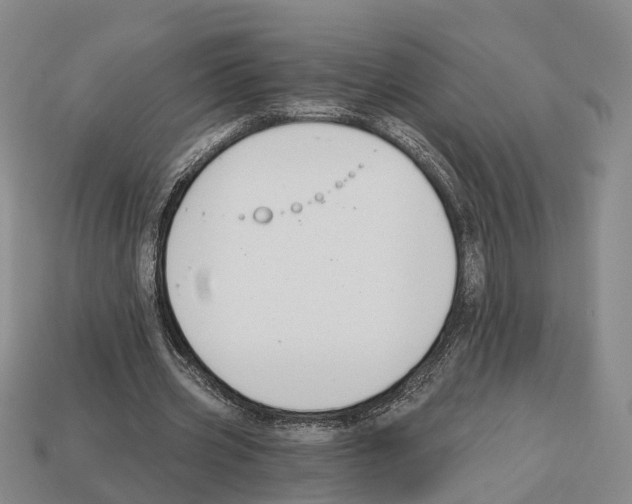 X0000112520533200909281018