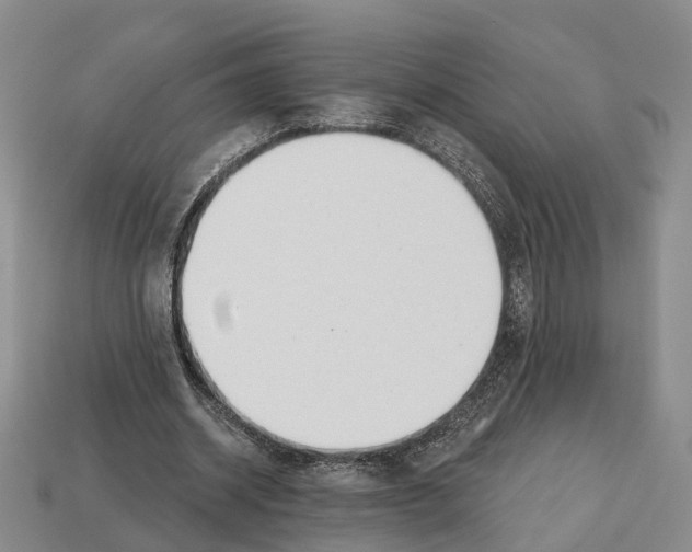 X0000112520534200909281018