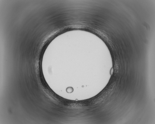 X0000112520535200909281018