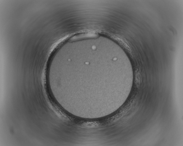 X0000112520536200909281019