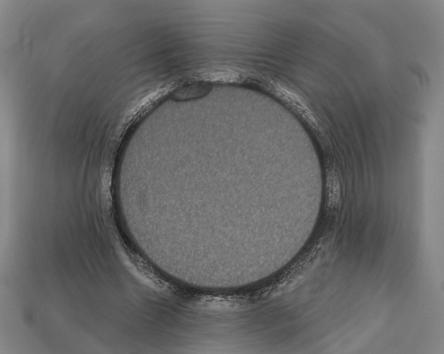 X0000112520538200909281019