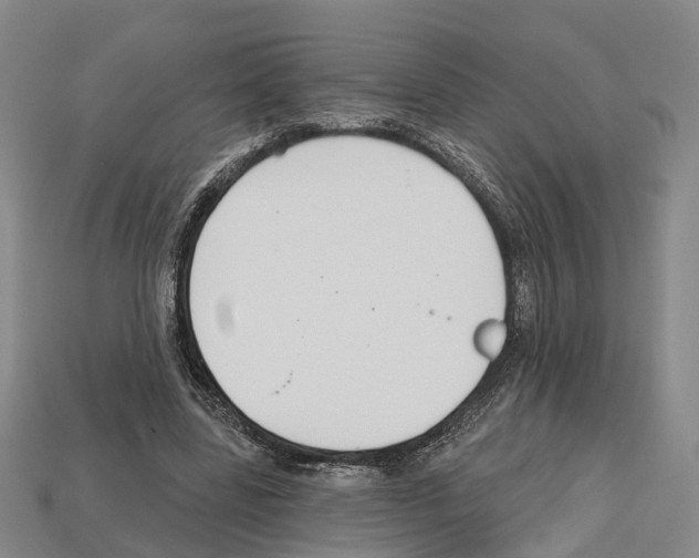 X0000112520539200909281019