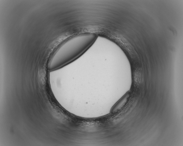 X0000112520540200909281019