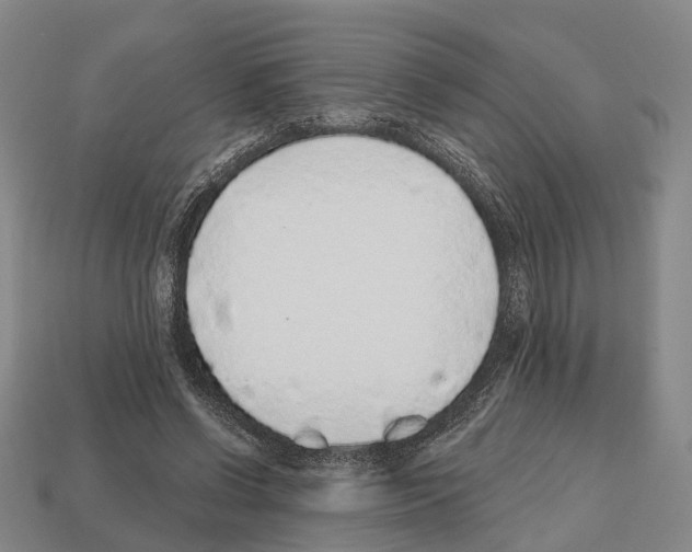 X0000112520542200909281019