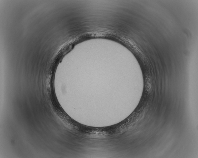 X0000112520543200909281019