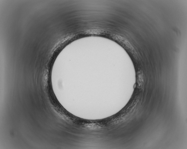 X0000112520544200909281019