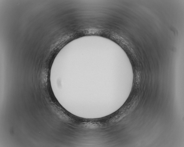 X0000112520545200909281019