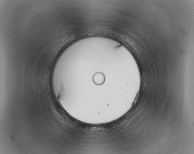 X0000112520546200909281019