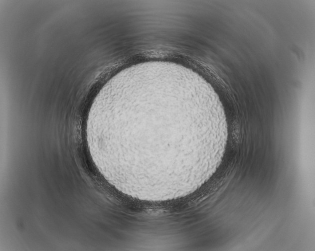 X0000112520547200909281019
