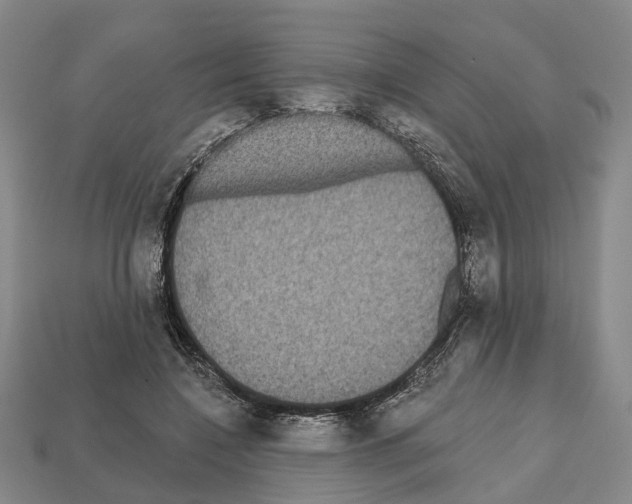X0000112520548200909281019