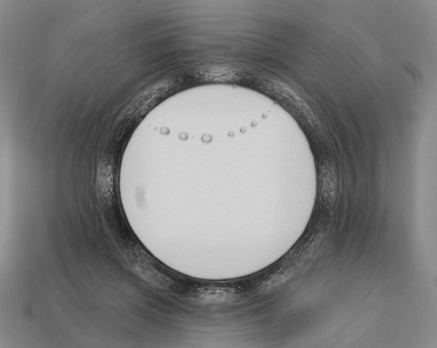 X0000112520549200909281019