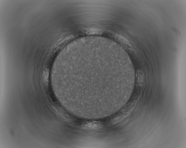 X0000112520550200909281019