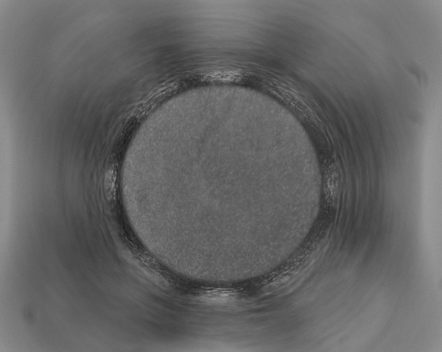 X0000112520551200909281019