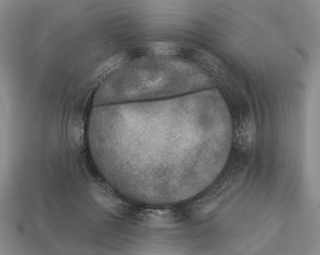 X0000112520552200909281019