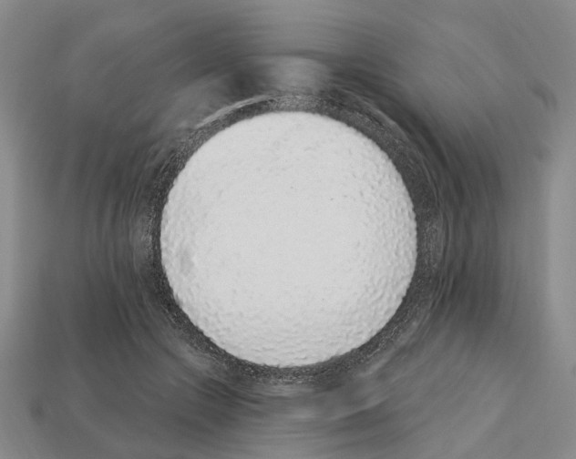 X0000112520553200909281019