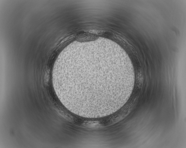 X0000112520554200909281019