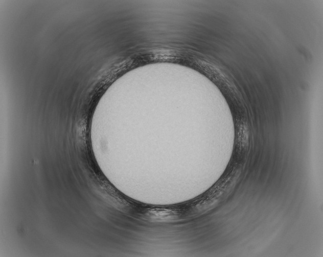 X0000112520557200909281019