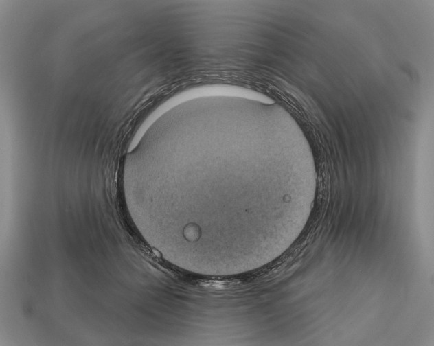X0000112520558200909281019