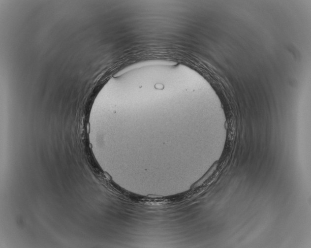 X0000112520560200909281019