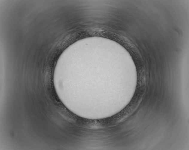 X0000112520561200909281019