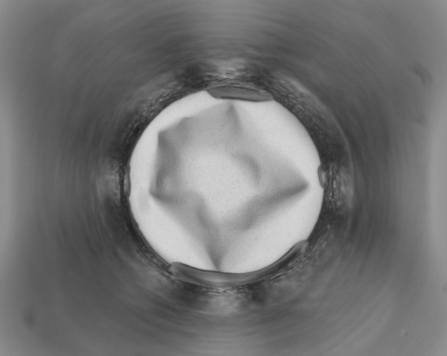 X0000112520562200909281019