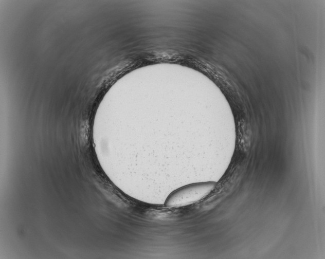 X0000112520563200909281019
