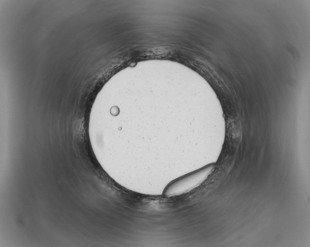 X0000112520564200909281019
