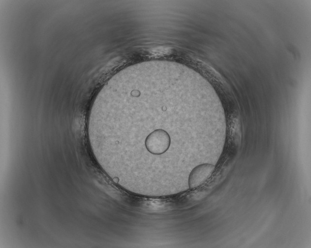 X0000112520565200909281019