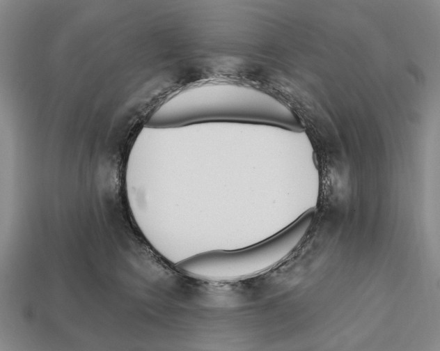 X0000112520566200909281019