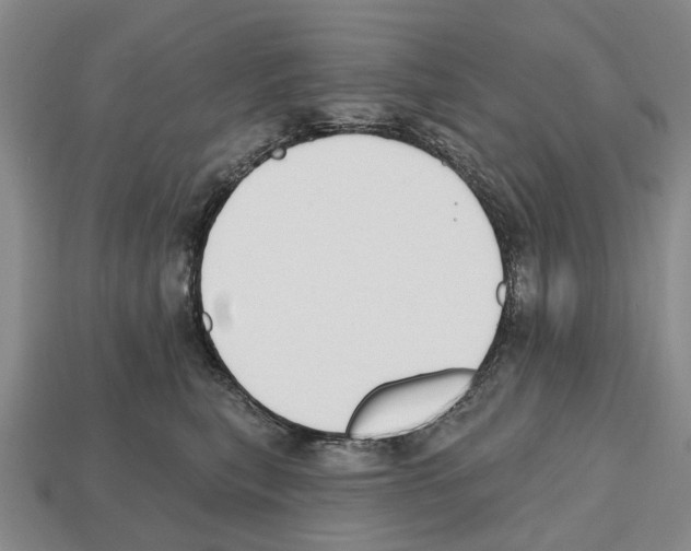 X0000112520567200909281019