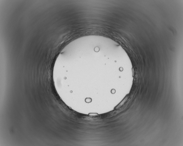 X0000112520568200909281019
